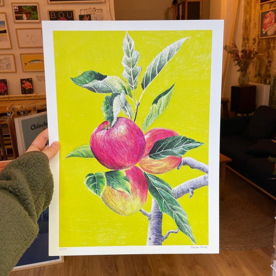 Affiche - Pommes (dessin au crayons de couleur)
