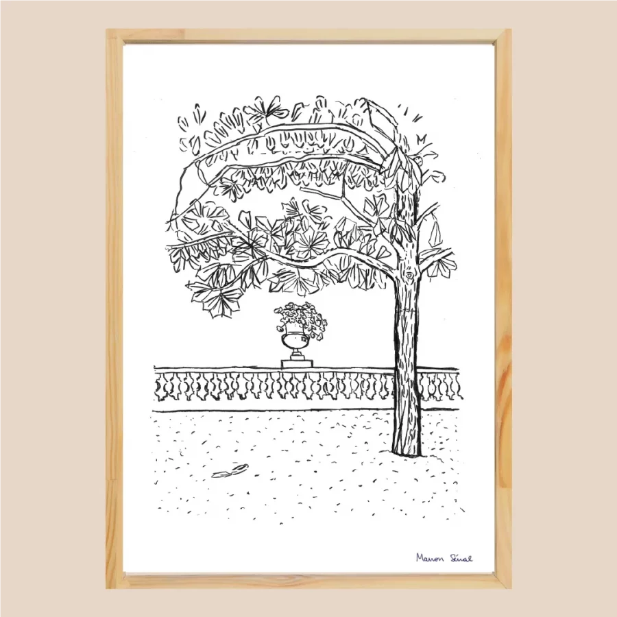 Illustration paysage Paris jardins du Luxembourg noir et blanc