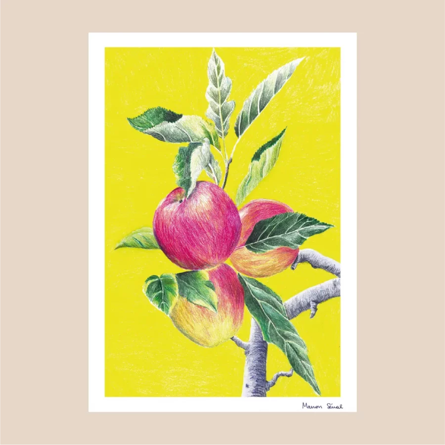 Illustration crayon de couleurs fait main pommes