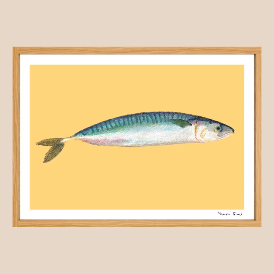 Affiche - Pastel - Maquereau (poisson)