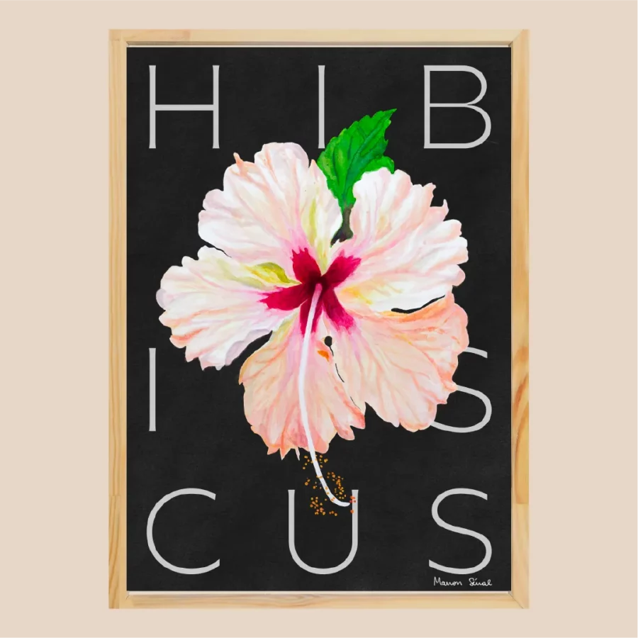 Illustration fleurs hibiscus décoration florale