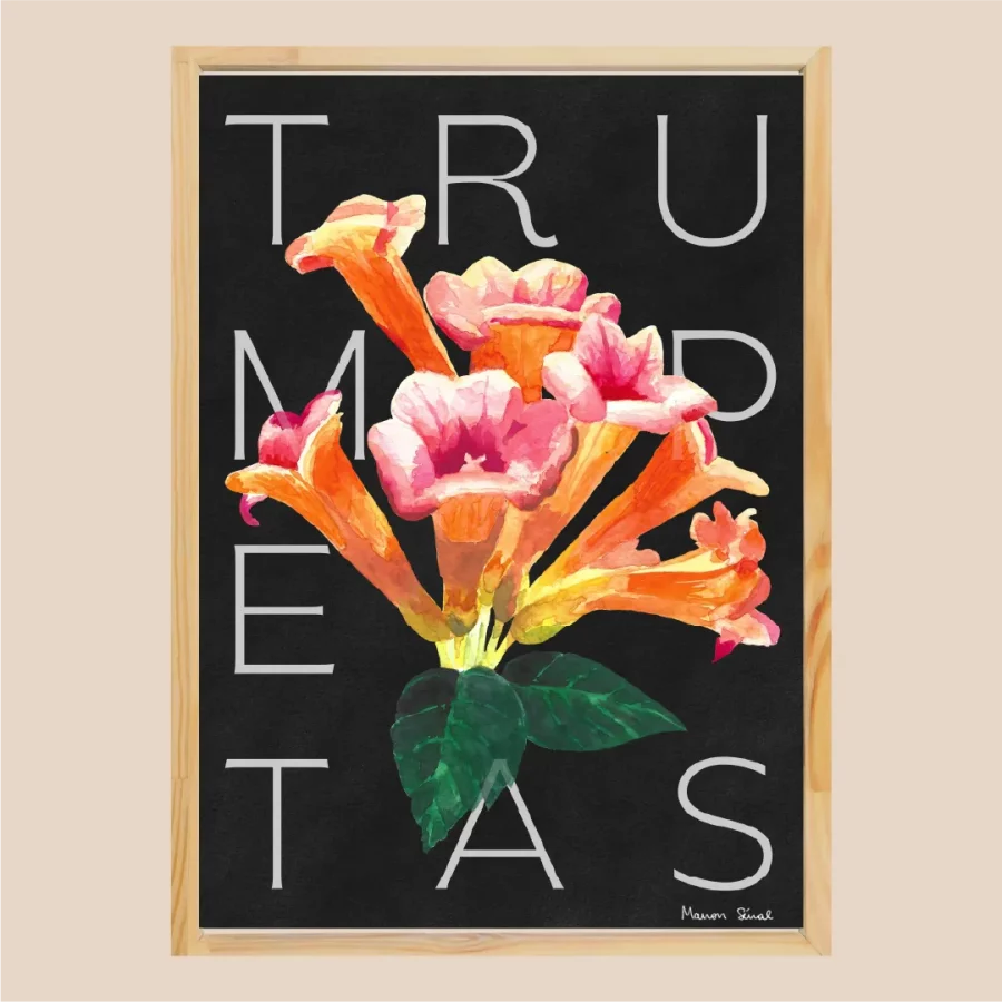 Illustration botanique, affiche fleurs trumpetas, décoration florale
