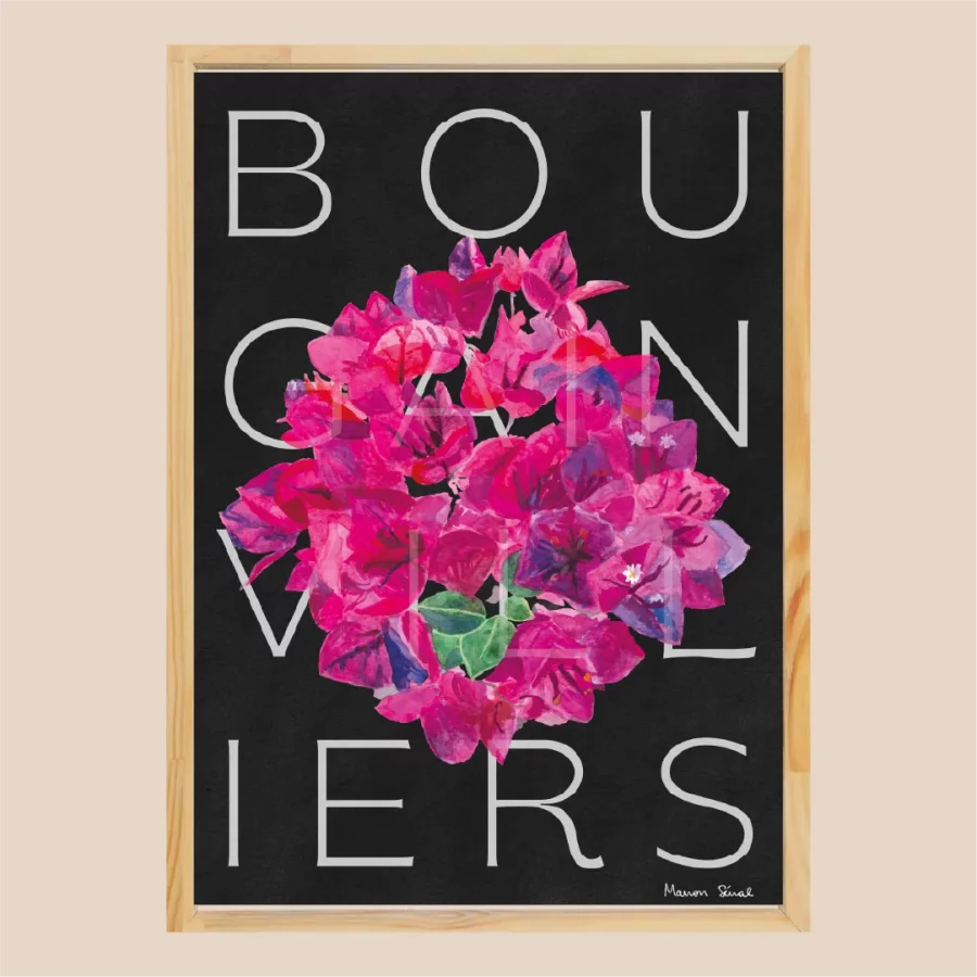 Illustration de fleurs bougainvilliers