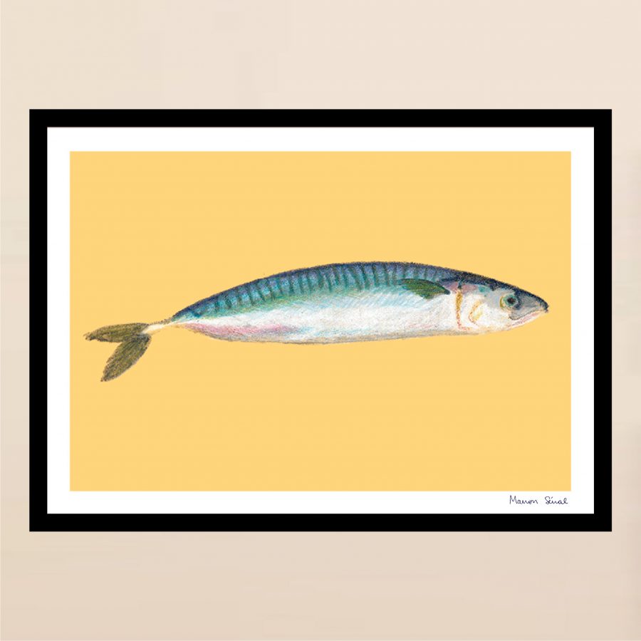 Affiche maquereau poisson cuisine