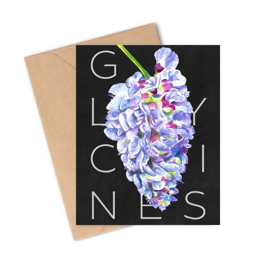 Carte postale A6 - Les Grimpantes - Glycines