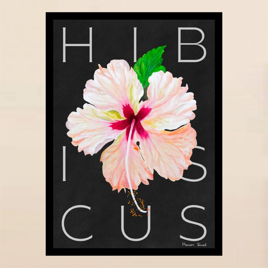 LES GRIMPANTES - Hibiscus