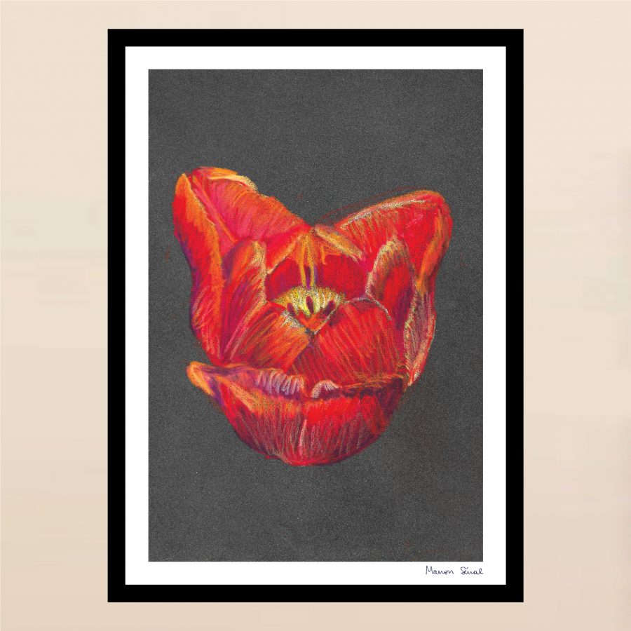 Pastel - Coeur de tulipe