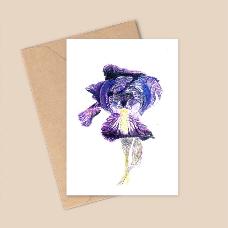 Carte postale A6 - Iris