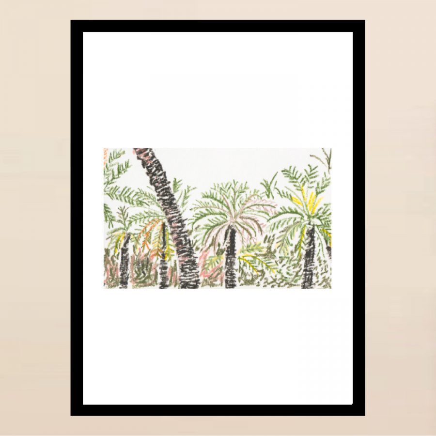 Affiche - Sicile - Palmiers