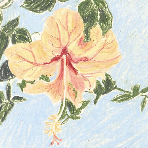 Affiche - Grèce - Hibiscus – Image 2