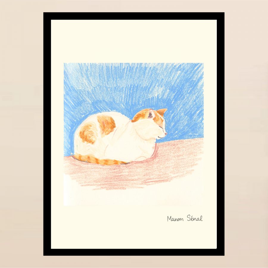 Affiche - Grèce - Le Chat