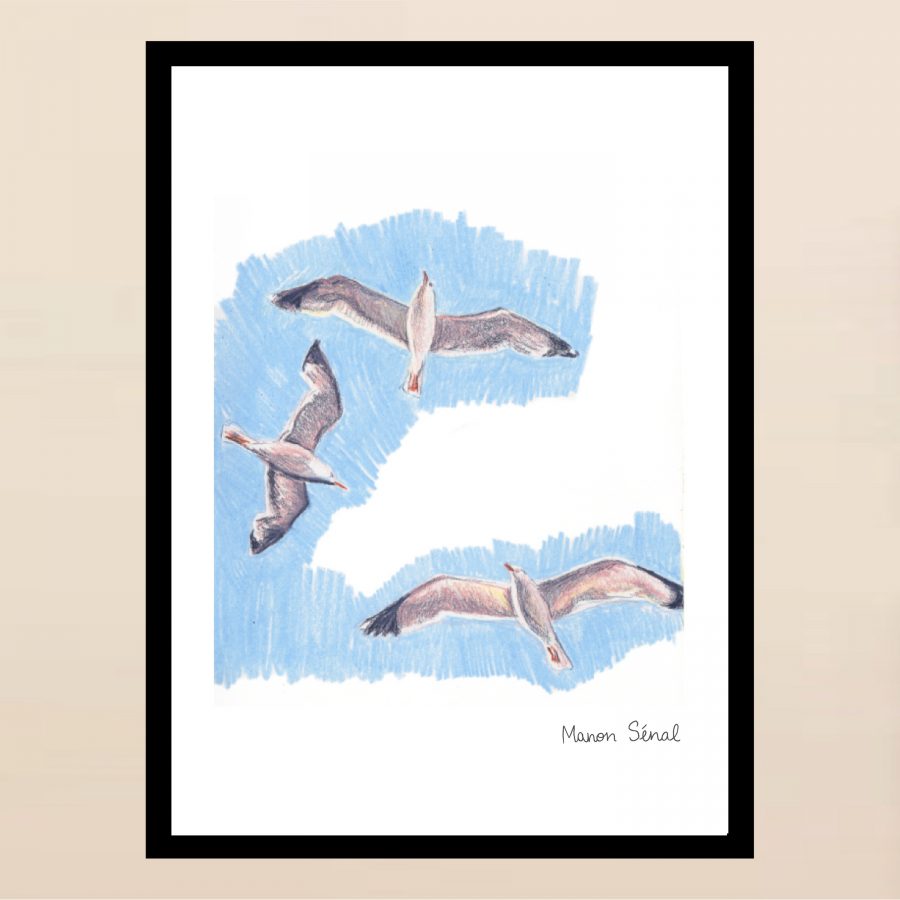 Affiche - Sicile - Gabiani